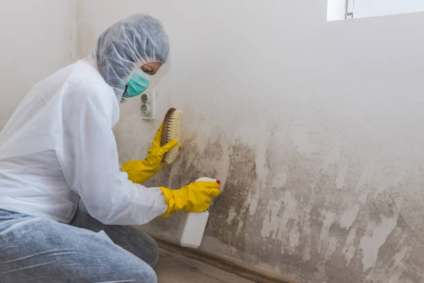 Best Biohazard Mold Removal  in Terra Bella, CA